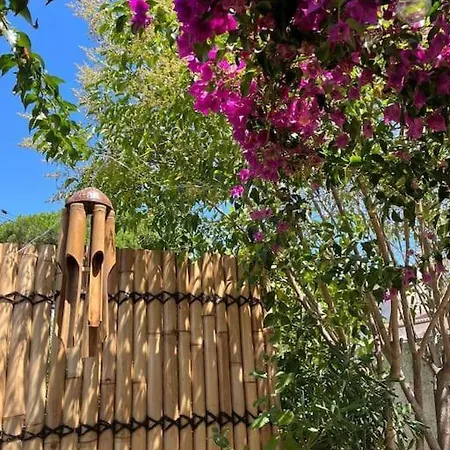Studio Avec Rez De Jardin Six-Fours-les-Plages Exterior foto