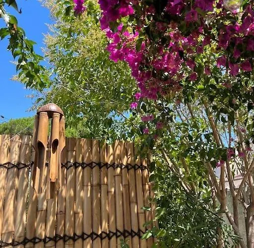 Studio Avec Rez De Jardin