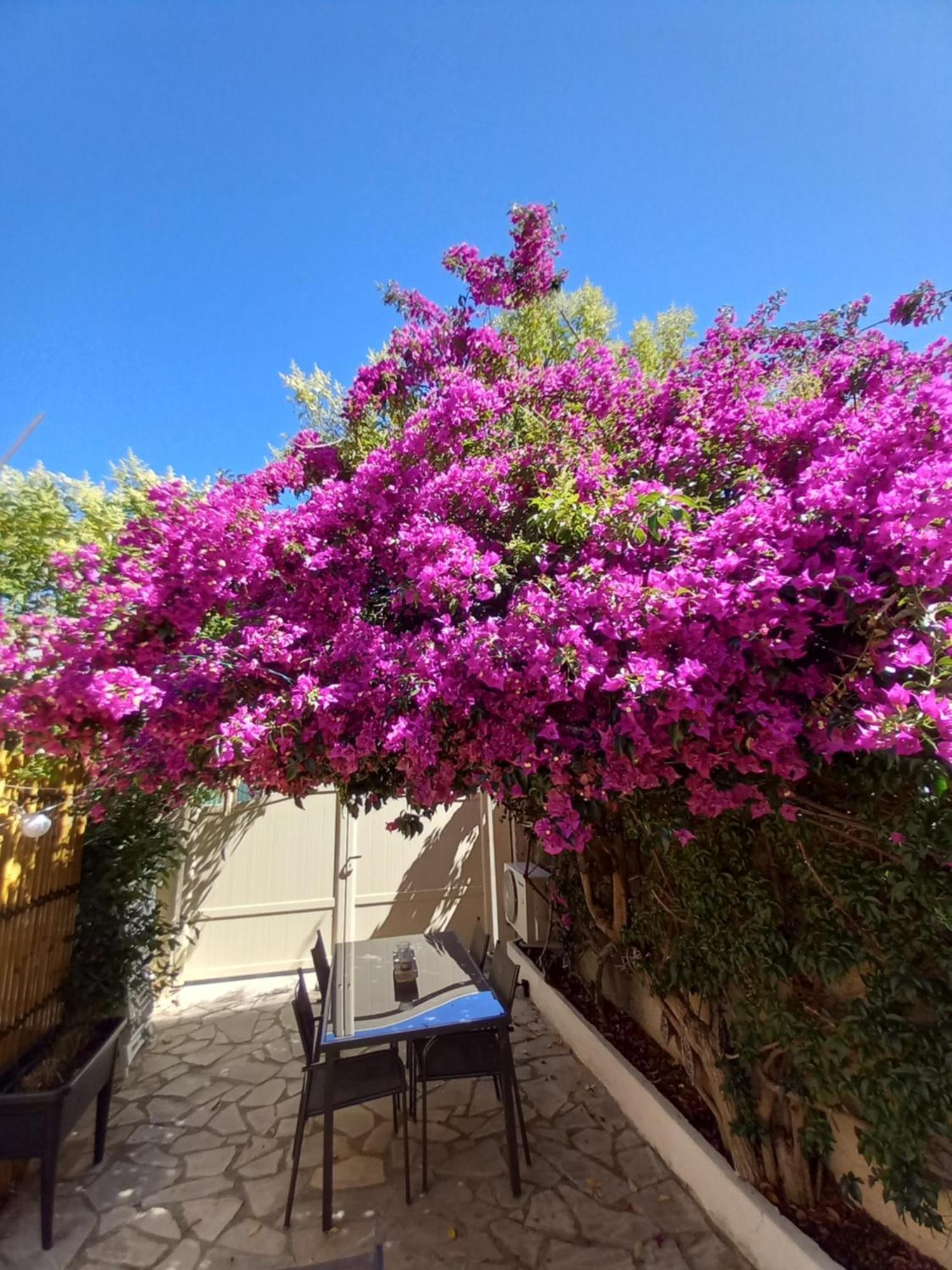 Avec Rez De Jardin Six-Fours-les-Plages