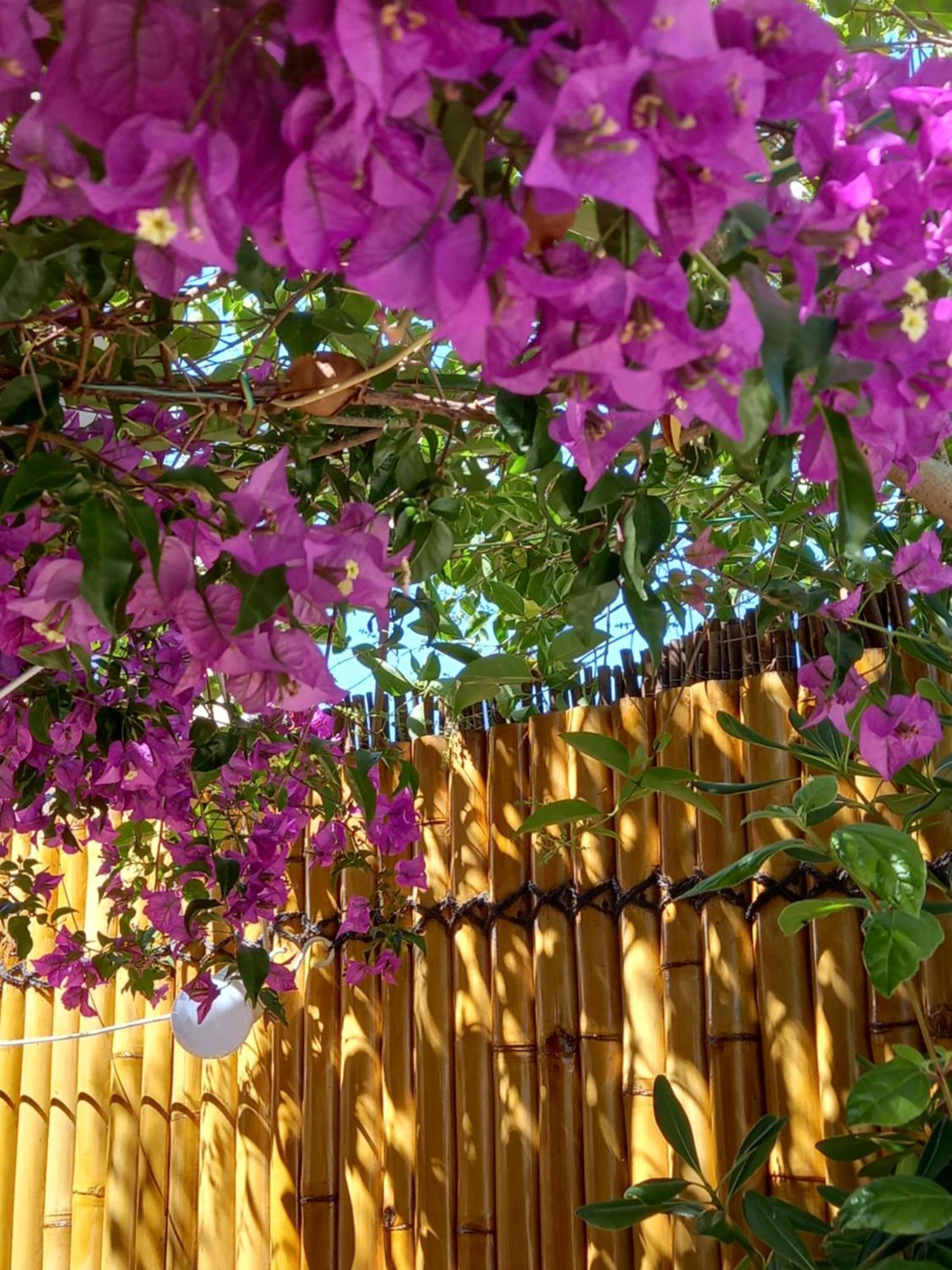 Avec Rez De Jardin Six-Fours-les-Plages