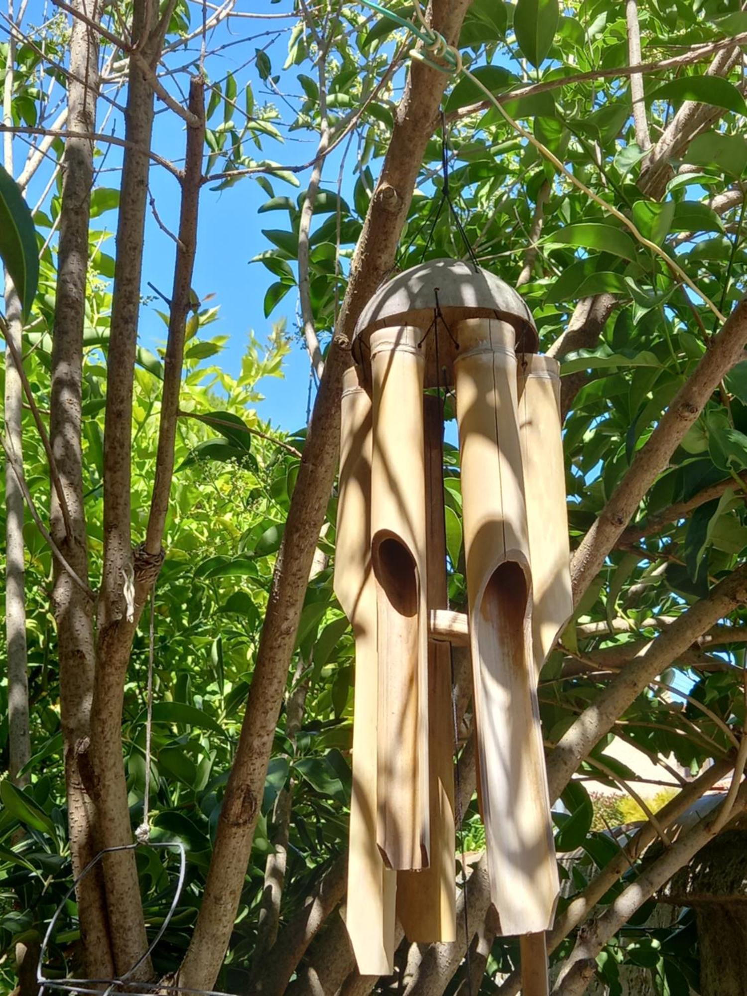 Apartment Studio Avec Rez De Jardin *