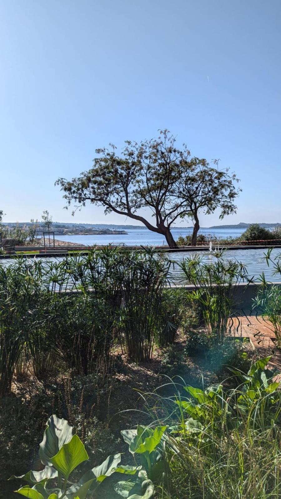 Studio Avec Rez De Jardin Apartment Six-Fours-les-Plages